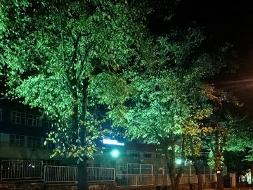 Giresun Cumhuriyet İlkokulu önü