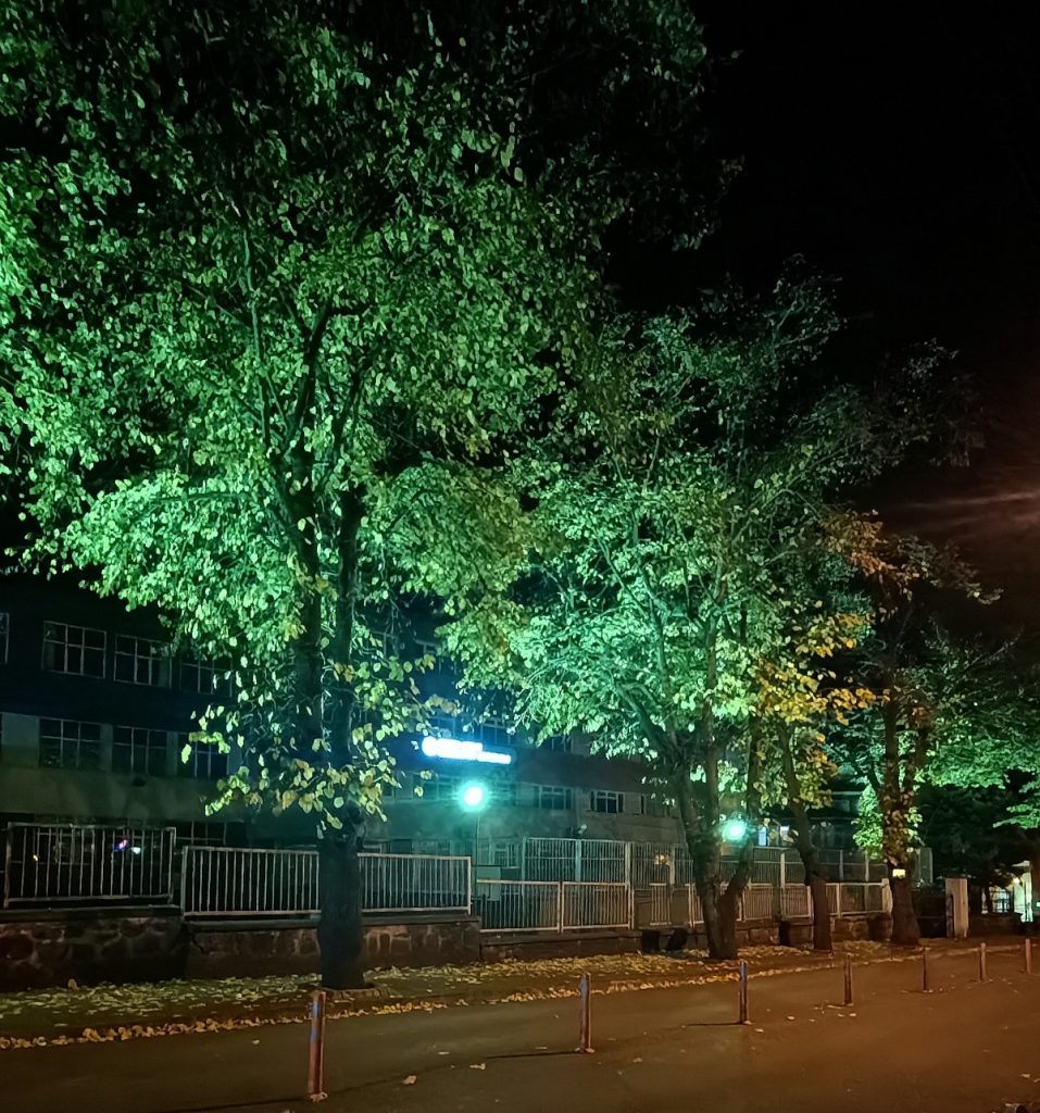 Giresun Cumhuriyet İlkokulu önü